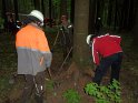 Maibaum_2018 (11)